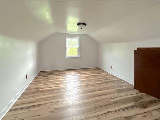 2839 128th Ave, Holland, MI 49424 - additional living space with light wood-style flooring and vaulted ceiling