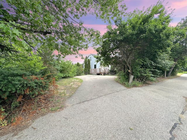 2839 128th Ave, Holland, MI 49424 - view of property hidden behind natural elements with asphalt driveway