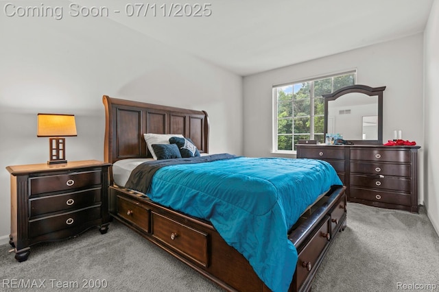 9019 Elbert Dr, Romulus, MI 48174 - bedroom with light colored carpet