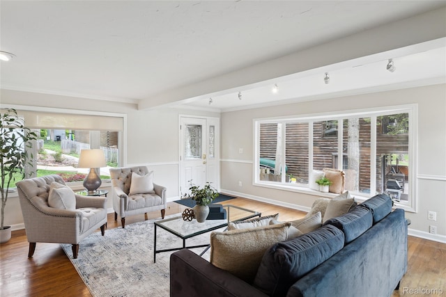 2009 Ridge Rd, White Lake, MI 48383 - living room with plenty of natural light, wood finished floors, and crown molding