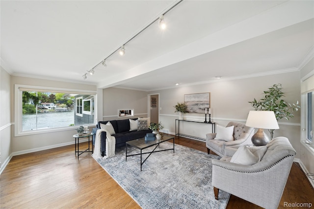 2009 Ridge Rd, White Lake, MI 48383 - living area featuring track lighting, wood finished floors, and ornamental molding