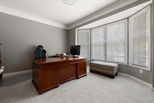 8507 Newbury Ct N, Canton, MI 48187 - office with light carpet and ornamental molding