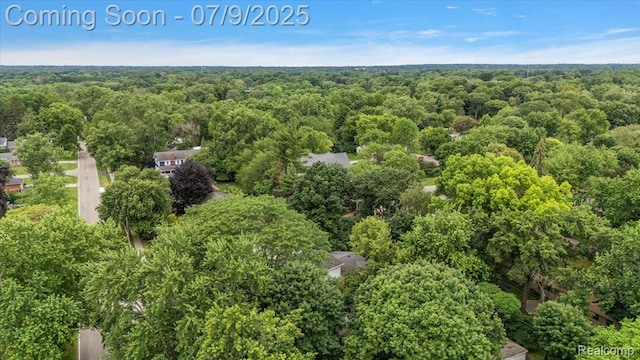 32010 Inglewood St, Franklin, MI 48025 - drone / aerial view of a forest