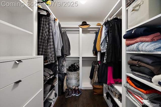 32010 Inglewood St, Franklin, MI 48025 - walk in closet with wood finished floors