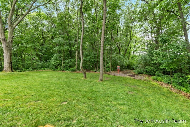 7979 Ella Terrace Dr, Rockford, MI 49341 - view of green lawn