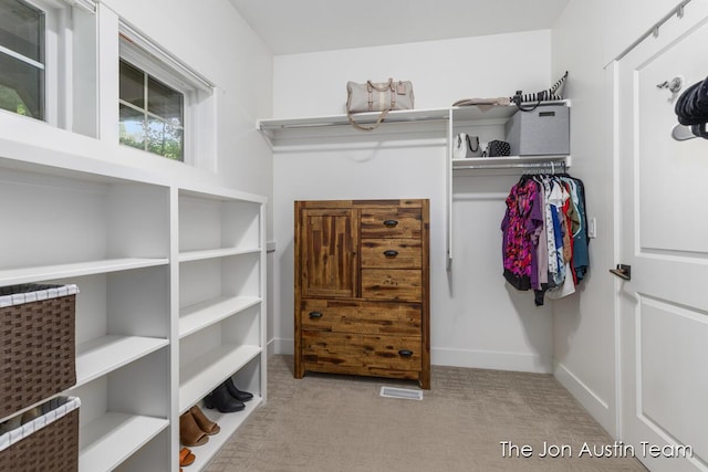 7979 Ella Terrace Dr, Rockford, MI 49341 - spacious closet with carpet