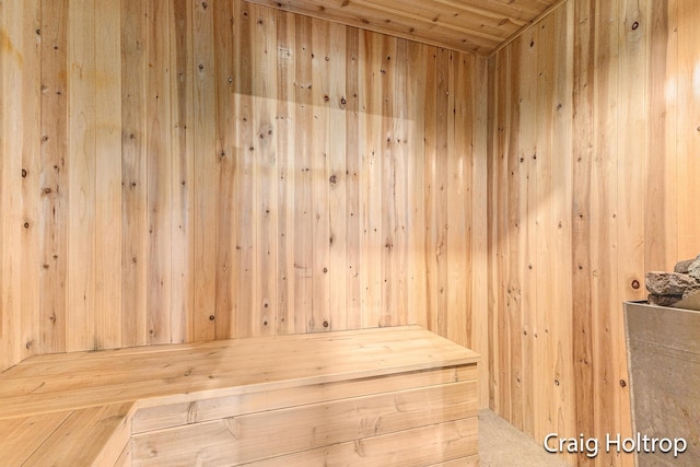 3566 Little Timber Ct SW, Grand Rapids, MI 49534 - relaxing sauna with wood walls