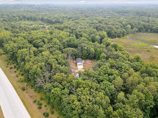 21329 W Dewey Rd, Howard City, MI 49329 - photo 49