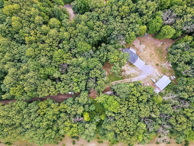 21329 W Dewey Rd, Howard City, MI 49329 - photo 50