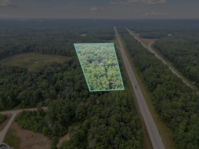 21329 W Dewey Rd, Howard City, MI 49329 - photo 2