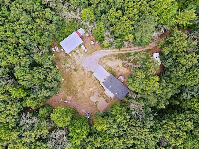 21329 W Dewey Rd, Howard City, MI 49329 - photo 48