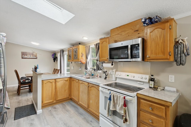 21329 W Dewey Rd, Howard City, MI 49329 - photo 29