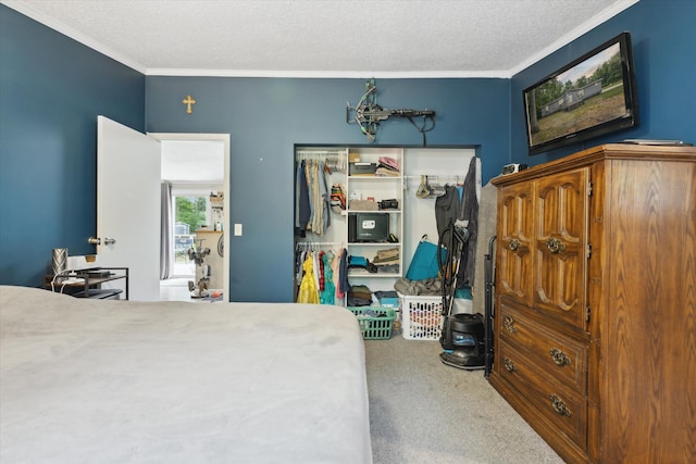 21329 W Dewey Rd, Howard City, MI 49329 - photo 40