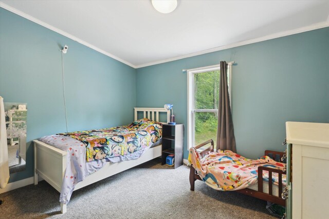 21329 W Dewey Rd, Howard City, MI 49329 - photo 32