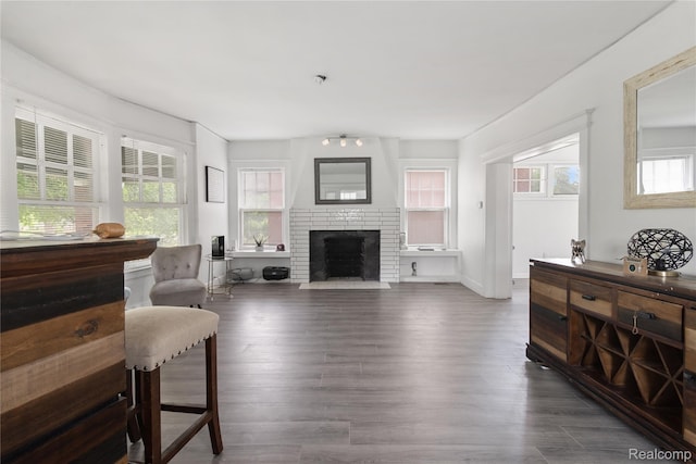 1725 Seyburn St, Detroit, MI 48214 - living area with dark wood finished floors and a fireplace