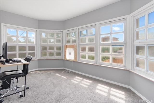 1725 Seyburn St, Detroit, MI 48214 - office space with carpet floors and healthy amount of natural light