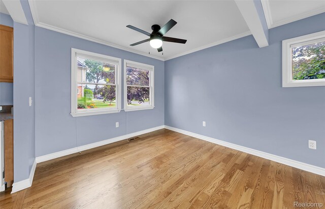 1053 Woodward Hts, Ferndale, MI 48220 - photo 12
