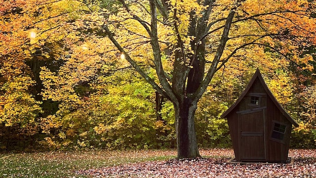 9442 Community Hall Rd, Union Pier, MI 49129 - view of shed