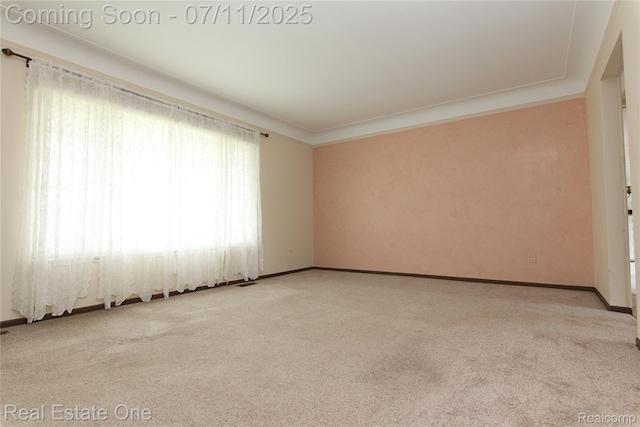 53347 Mark Dr, Shelby Twp, MI 48316 - empty room featuring carpet and ornamental molding