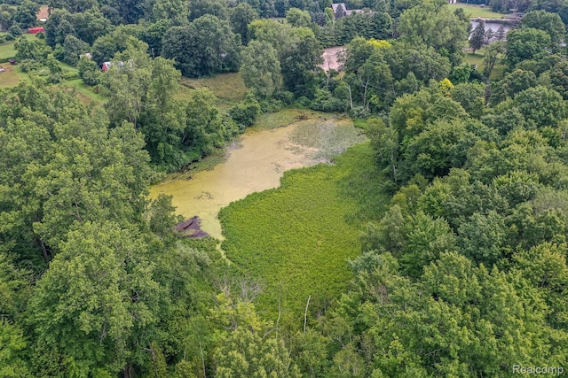 0 Pond Rd, Leonard, MI 48367