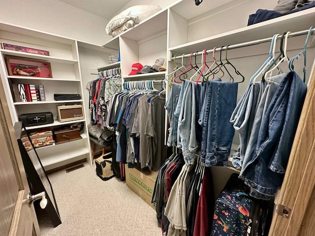 308 W Hosmer St, Saint Charles, MI 48655 - walk in closet featuring carpet flooring