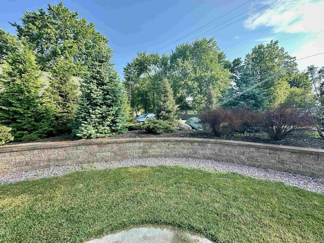 308 W Hosmer St, Saint Charles, MI 48655 - view of grassy yard
