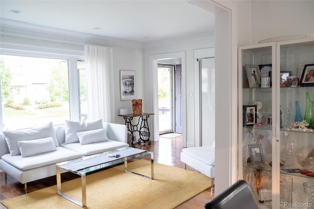 1036 Irving Ave, Royal Oak, MI 48067 - living area featuring wood finished floors and crown molding