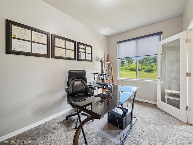 2655 Devondale Rd, Rochester Hills, MI 48309 - carpeted home office featuring baseboards