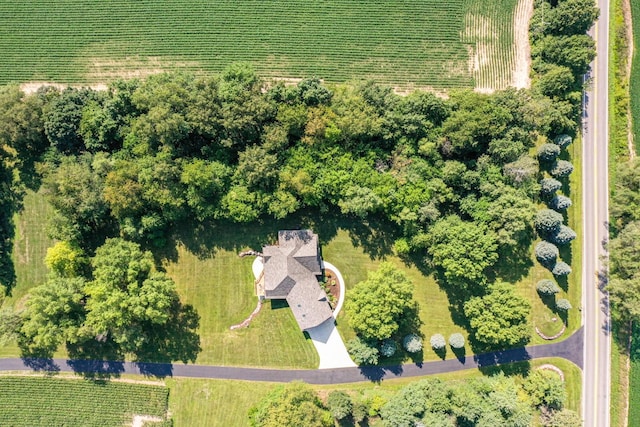 9434 84th St SE, Alto, MI 49302 - overview of rural landscape featuring extensive farmland