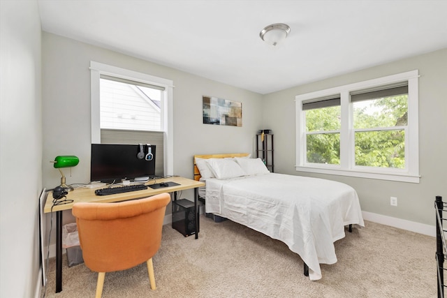 711 N Alexander Ave, Royal Oak, MI 48067 - carpeted bedroom featuring multiple windows