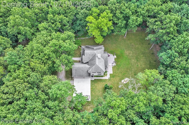 359 High Bluffs Dr, Ortonville, MI 48462 - aerial view of property and surrounding area