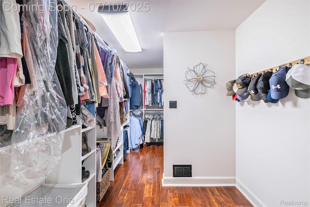 359 High Bluffs Dr, Ortonville, MI 48462 - walk in closet with wood finished floors