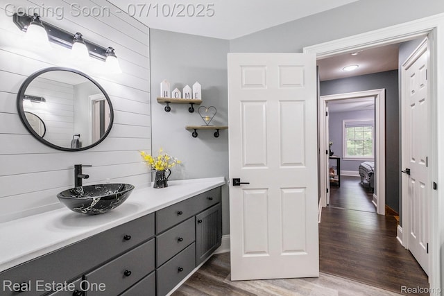 359 High Bluffs Dr, Ortonville, MI 48462 - bathroom featuring vanity, wood finished floors, and wooden walls