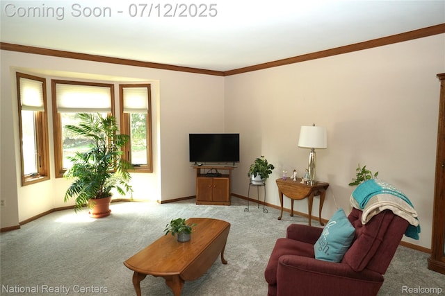 19230 Augusta Ct, Livonia, MI 48152 - living area featuring carpet and crown molding