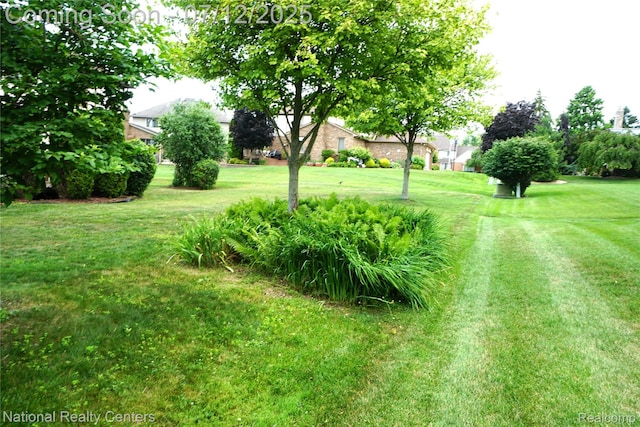 19230 Augusta Ct, Livonia, MI 48152 - view of grassy yard