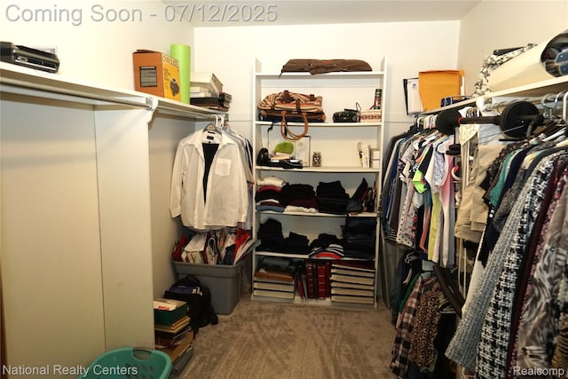 19230 Augusta Ct, Livonia, MI 48152 - walk in closet with carpet