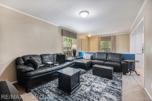 38683 Bayside Ct Unit 118, Clinton Township, MI 48038 - living area featuring plenty of natural light, ornamental molding, a textured ceiling, and carpet