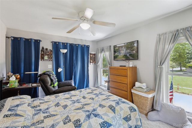 204 W Caroline St, Bellevue, MI 49021 - bedroom with multiple windows and ceiling fan