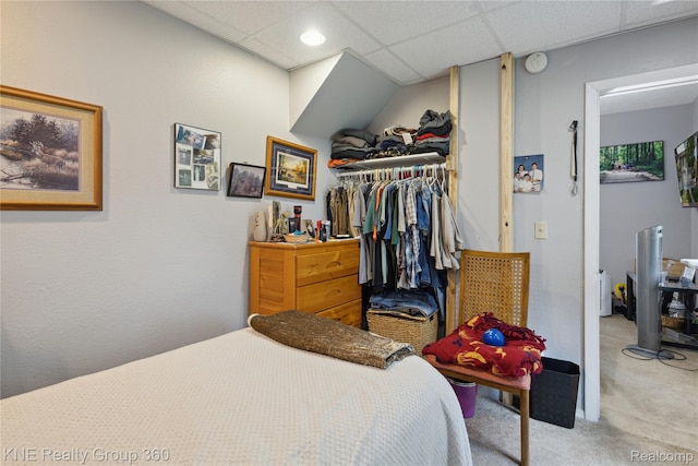 204 W Caroline St, Bellevue, MI 49021 - carpeted bedroom with a closet and a paneled ceiling