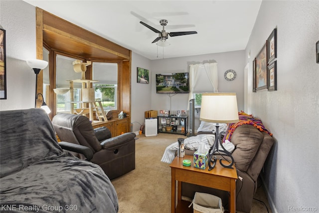 204 W Caroline St, Bellevue, MI 49021 - carpeted living area featuring a ceiling fan and a textured wall