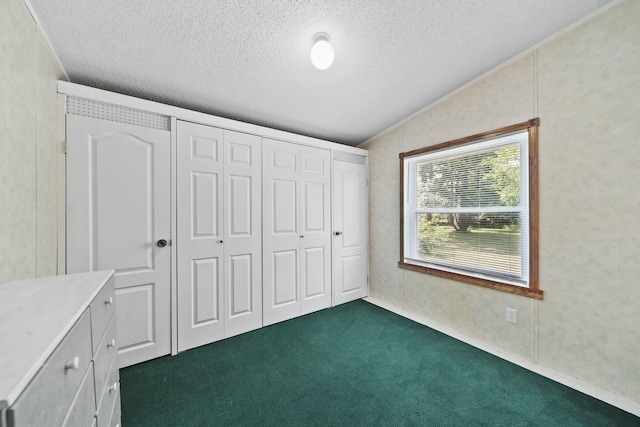8756 Portage Lake Rd, Munith, MI 49259 - unfurnished bedroom featuring a textured ceiling, dark colored carpet, lofted ceiling, and a closet