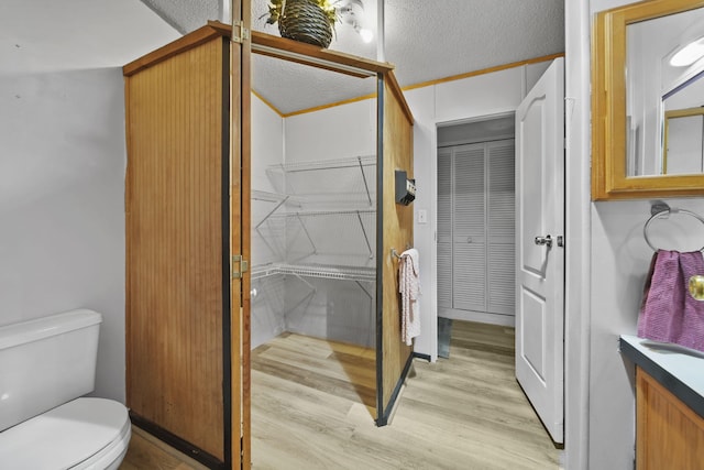 8756 Portage Lake Rd, Munith, MI 49259 - bathroom with a closet, wood finished floors, vanity, and a textured ceiling