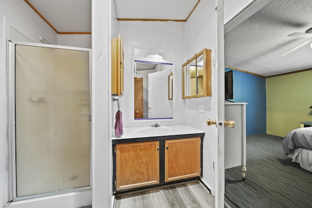 8756 Portage Lake Rd, Munith, MI 49259 - bathroom with a textured ceiling, ornamental molding, a stall shower, vanity, and connected bathroom