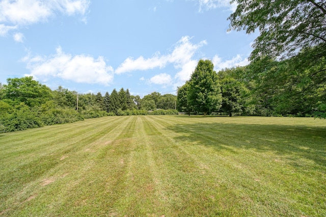 8756 Portage Lake Rd, Munith, MI 49259 - view of green lawn