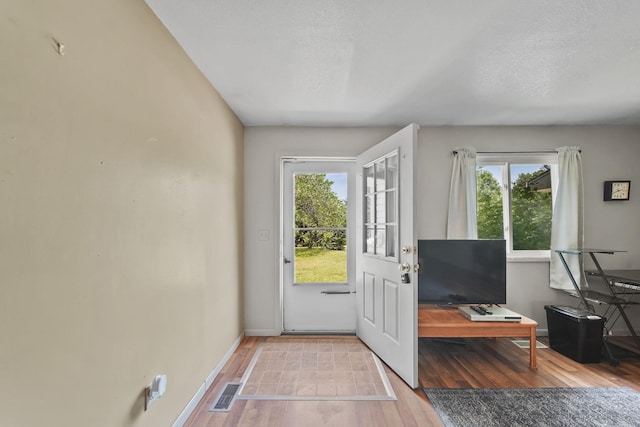 8756 Portage Lake Rd, Munith, MI 49259 - doorway featuring healthy amount of natural light, wood finished floors, and a textured ceiling