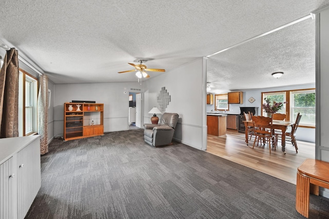 8756 Portage Lake Rd, Munith, MI 49259 - living area with carpet flooring, ceiling fan, and a textured ceiling
