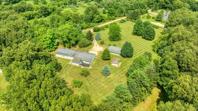 8756 Portage Lake Rd, Munith, MI 49259 - bird's eye view