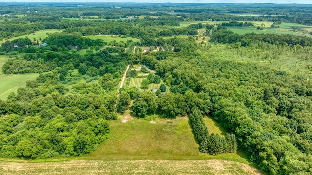 8756 Portage Lake Rd, Munith, MI 49259 - overview of rural landscape featuring a forest