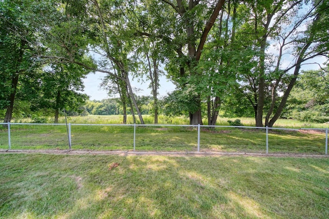 8756 Portage Lake Rd, Munith, MI 49259 - view of yard