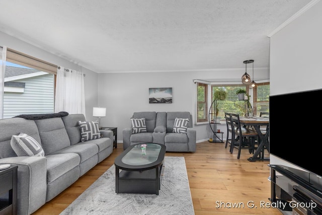 1060 Village Ln, Jenison, MI 49428 - living area featuring crown molding, light wood finished floors, and a textured ceiling